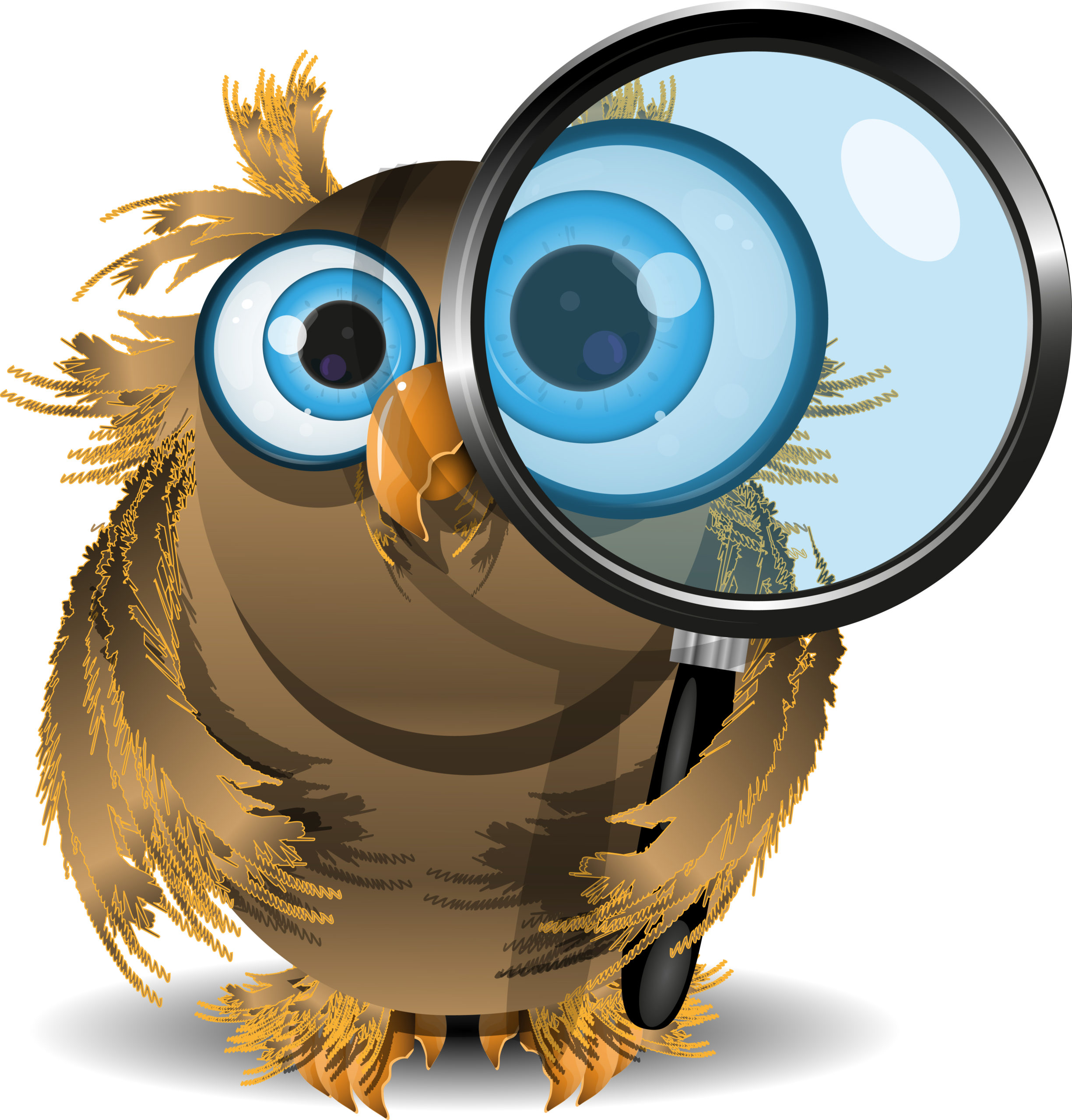 illustration curious owl with a magnifying glass